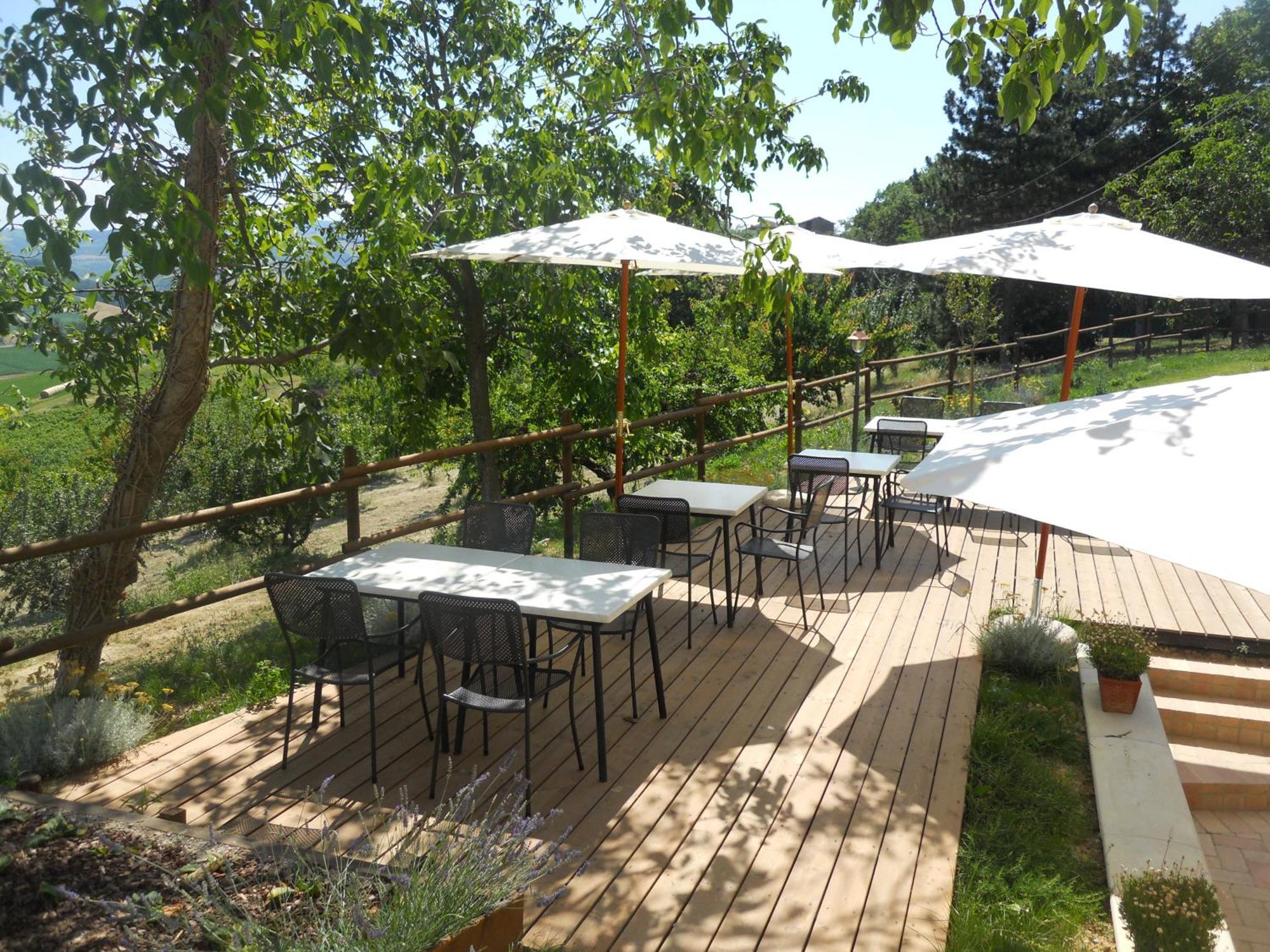 Agriturismo Podere Diamante Castelvetro di Modena Exterior photo